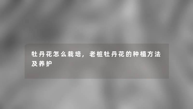 牡丹花怎么栽培,老桩牡丹花的种植方法及养护 牡丹花怎么栽培,老桩牡丹花的种植方法及养护