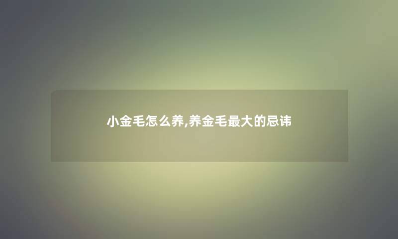 小金毛怎么养,养金毛大的忌讳 小金毛怎么养,养金毛大的忌讳