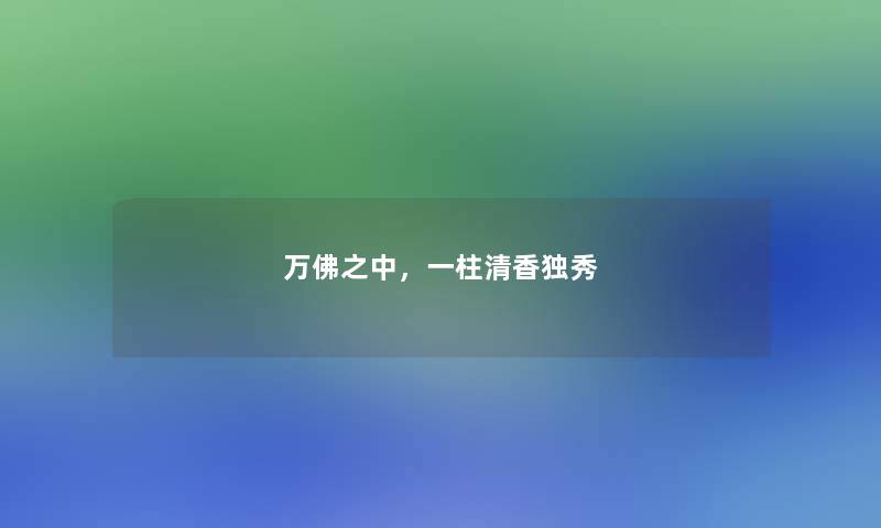 万佛之中，一柱清香独秀