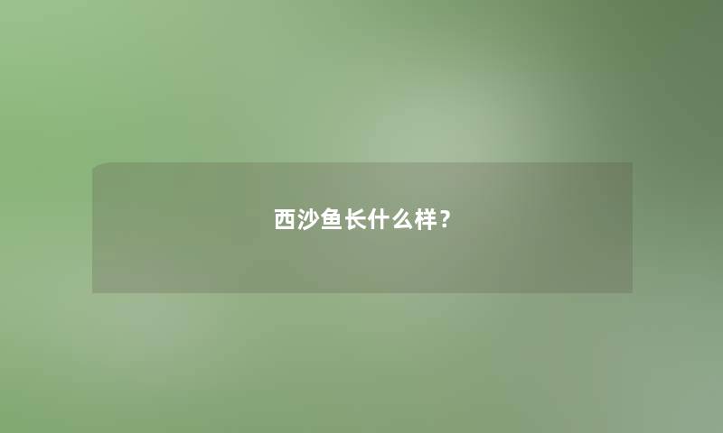 西沙鱼长什么样？