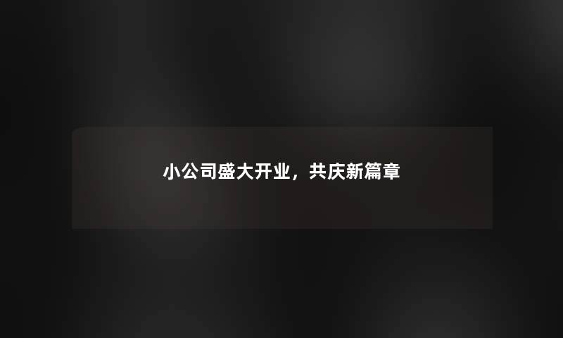 小公司盛大开业，共庆新篇章