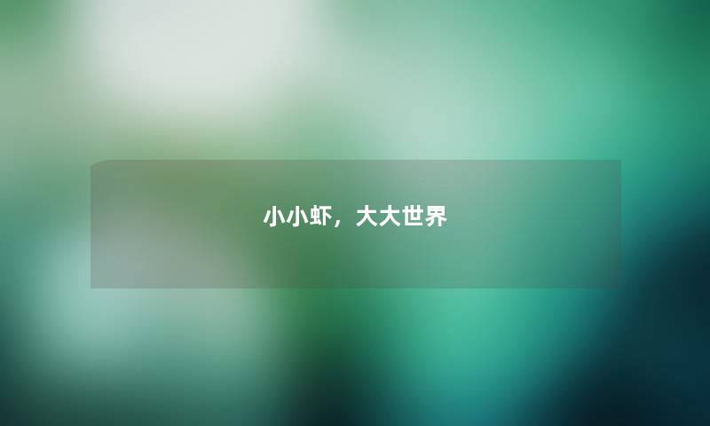 小小虾，大大世界
