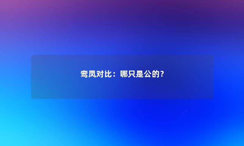 鸾凤对比：哪只是公的？