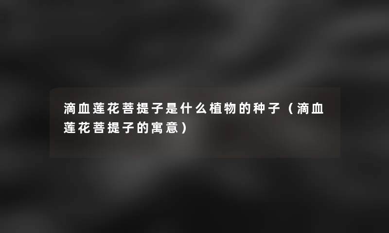 滴血莲花菩提子是什么植物的种子（滴血莲花菩提子的寓意）