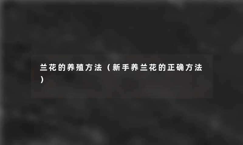 兰花的养殖方法（新手养兰花的正确方法）