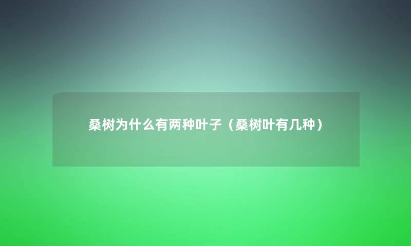 桑树为什么有两种叶子(桑树叶有几种) 桑树为什么有两种叶子(桑树叶有几种)
