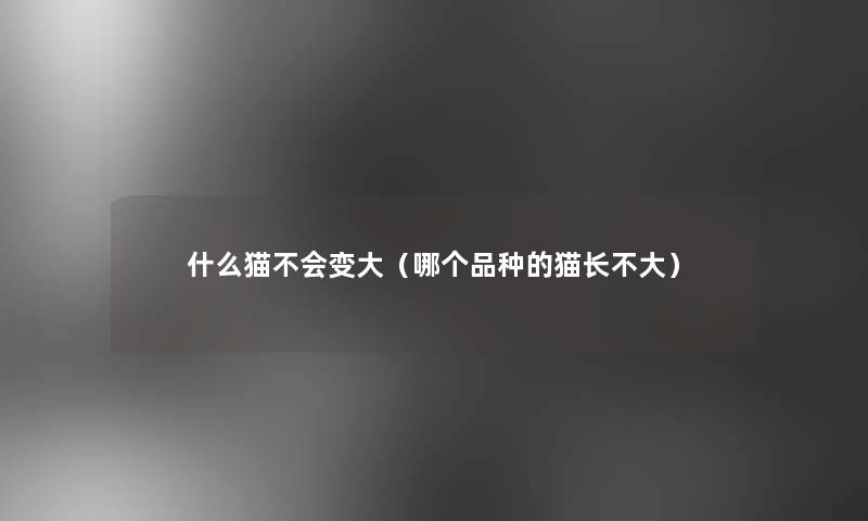什么猫不会变大(哪个品种的猫长不大) 什么猫不会变大(哪个品种的猫长不大)