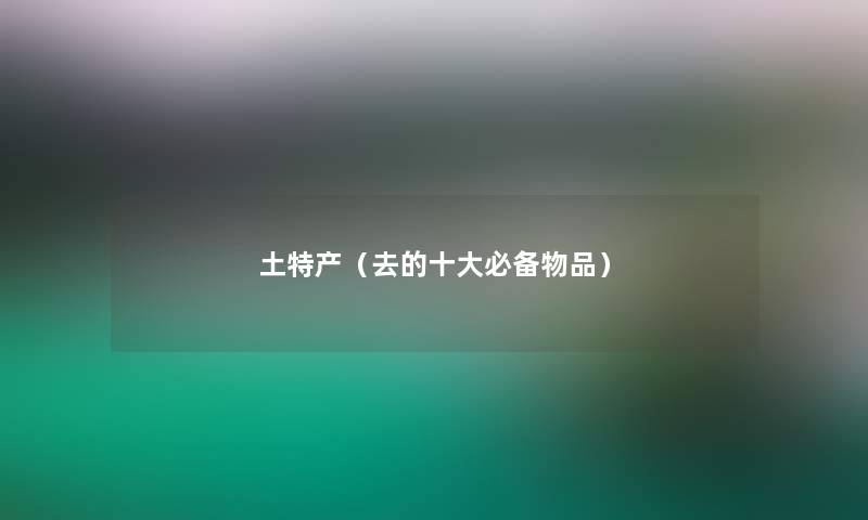 土特产（去的一些必备物品）