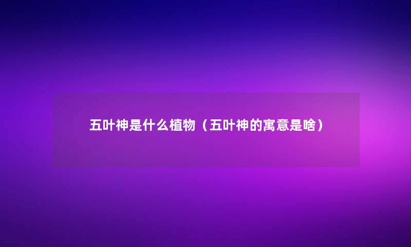 五叶神是什么植物（五叶神的寓意是啥）