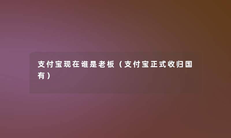 支付宝谁是老板(支付宝正式收归国有) 支付宝谁是老板(支付宝正式收归国有)