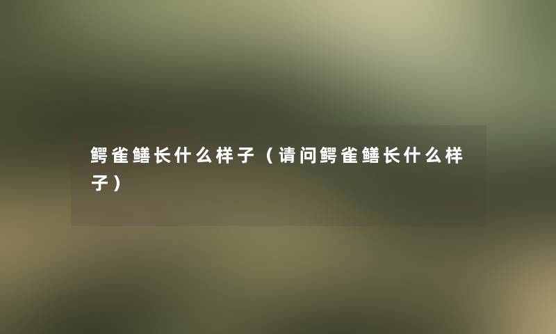 鳄雀鳝长什么样子（请问鳄雀鳝长什么样子）