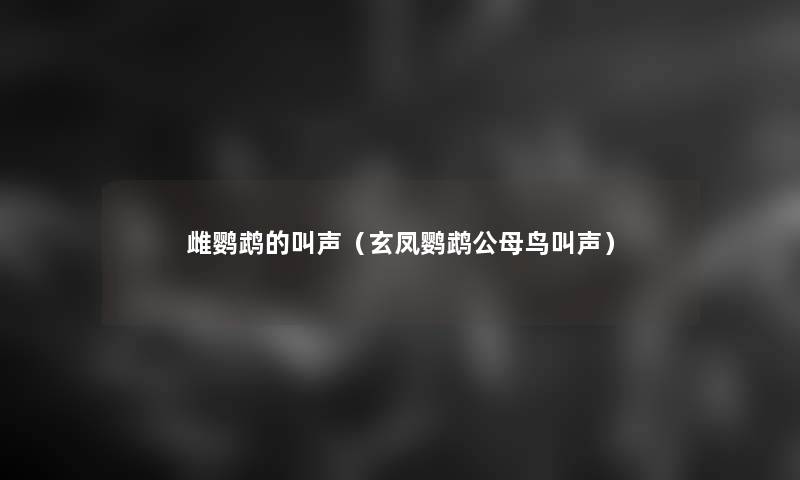 雌鹦鹉的叫声（玄凤鹦鹉公母鸟叫声）