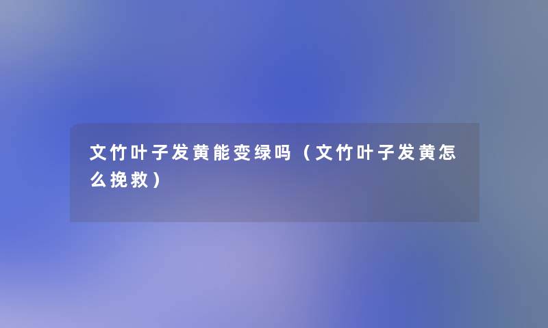 文竹叶子发黄能变绿吗（文竹叶子发黄怎么挽救）