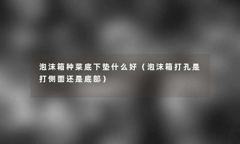 泡沫箱种菜底下垫什么好(泡沫箱打孔是打侧面还是底部) 泡沫箱种菜底下垫什么好(泡沫箱打孔是打侧面还是底部)