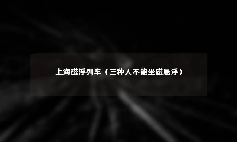 上海磁浮列车(三种人不能坐磁悬浮) 上海磁浮列车(三种人不能坐磁悬浮)