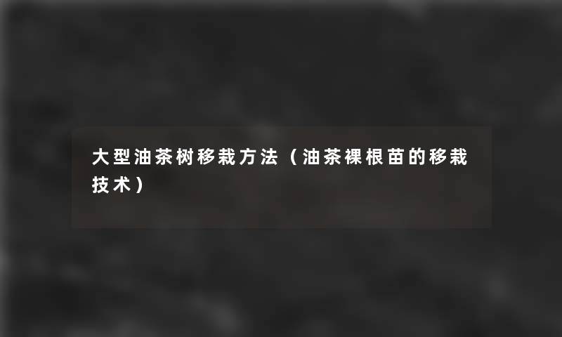大型油茶树移栽方法(油茶裸根苗的移栽技术) 大型油茶树移栽方法(油茶裸根苗的移栽技术)