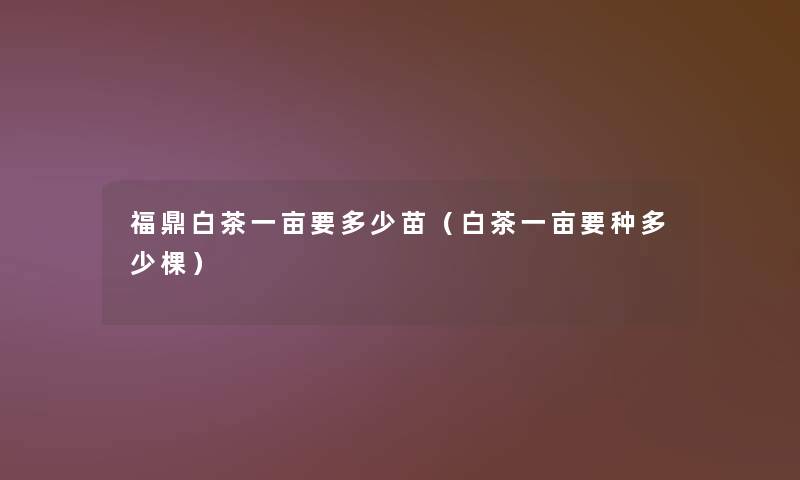 福鼎白茶一亩要多少苗(白茶一亩要种多少棵) 福鼎白茶一亩要多少苗(白茶一亩要种多少棵)