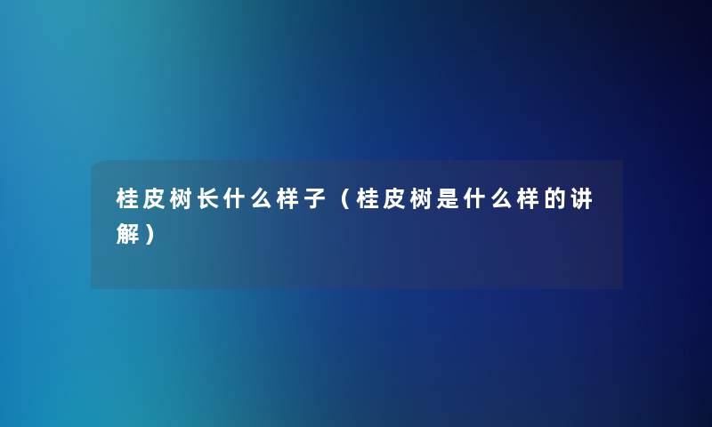 桂皮树长什么样子（桂皮树是什么样的讲解）