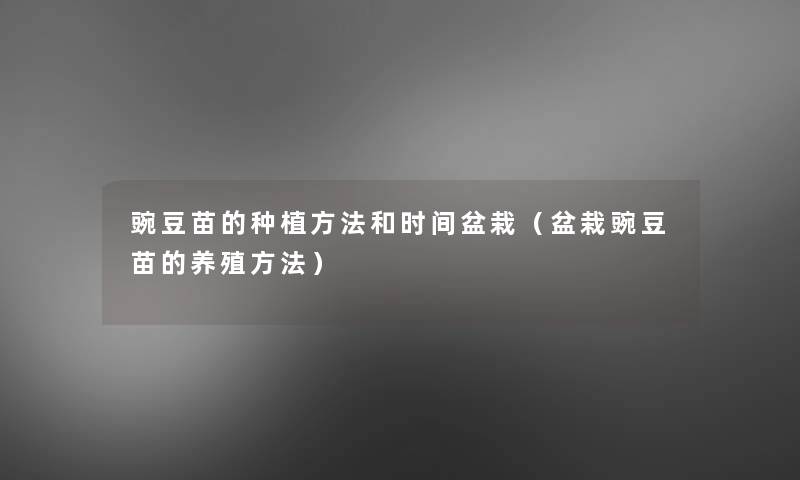 豌豆苗的种植方法和时间盆栽(盆栽豌豆苗的养殖方法) 豌豆苗的种植方法和时间盆栽(盆栽豌豆苗的养殖方法)