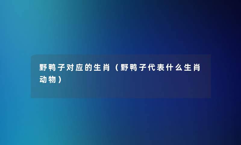 野鸭子对应的生肖（野鸭子代表什么生肖动物）
