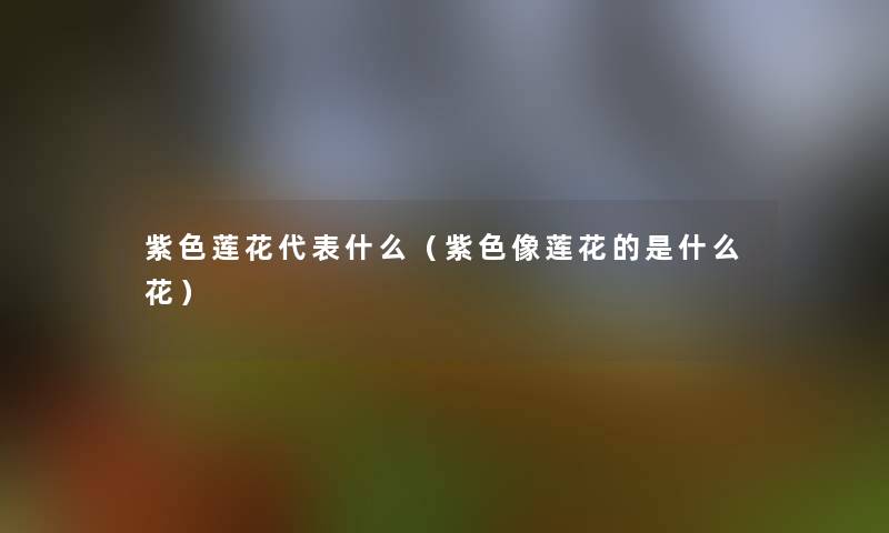 紫色莲花代表什么（紫色像莲花的是什么花）
