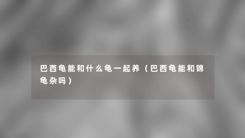 巴西龟能和什么龟一起养(巴西龟能和锦龟杂吗) 巴西龟能和什么龟一起养(巴西龟能和锦龟杂吗)