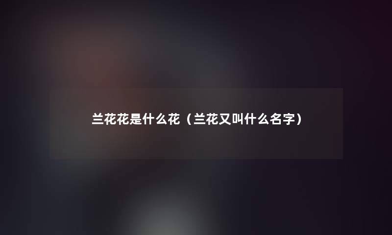 兰花花是什么花(兰花又叫什么名字) 兰花花是什么花(兰花又叫什么名字)