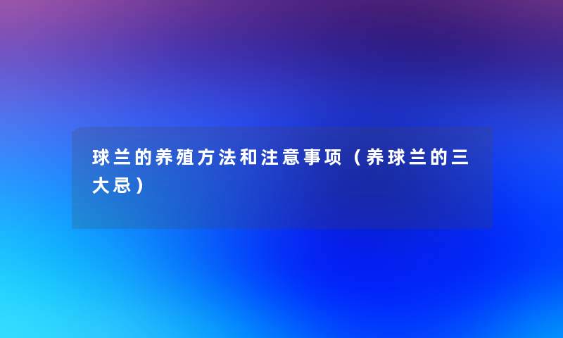 球兰的养殖方法和事项(养球兰的三大忌) 球兰的养殖方法和事项(养球兰的三大忌)