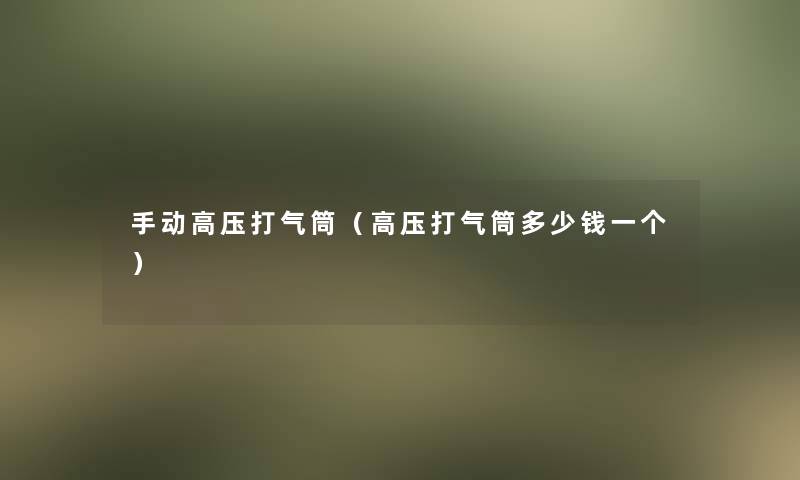 手动高压打气筒(高压打气筒多少钱一个) 手动高压打气筒(高压打气筒多少钱一个)