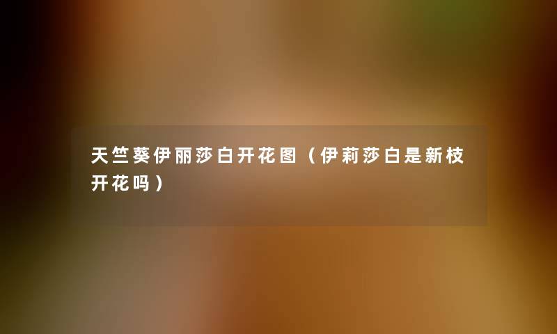 天竺葵伊丽莎白开花图(伊莉莎白是新枝开花吗) 天竺葵伊丽莎白开花图(伊莉莎白是新枝开花吗)