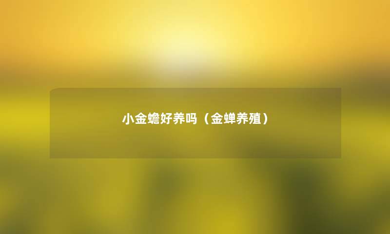小金蟾好养吗（金蝉养殖）