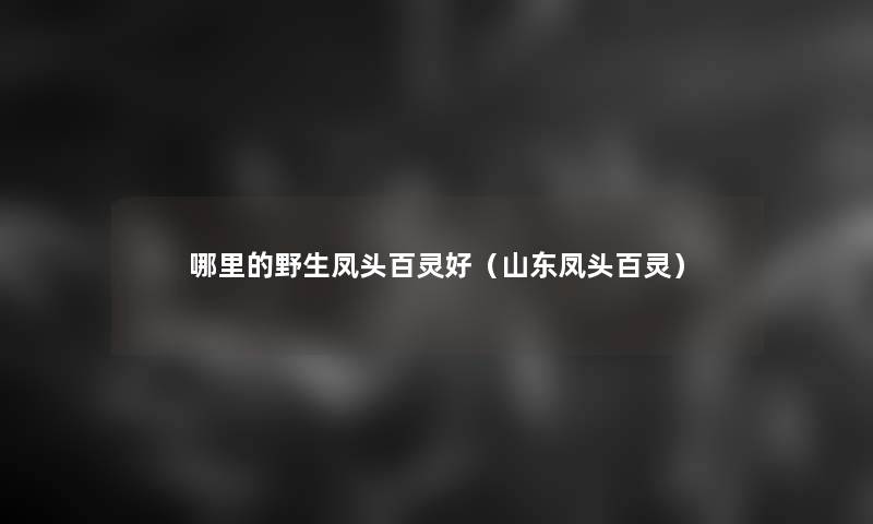 哪里的野生凤头百灵好（山东凤头百灵）