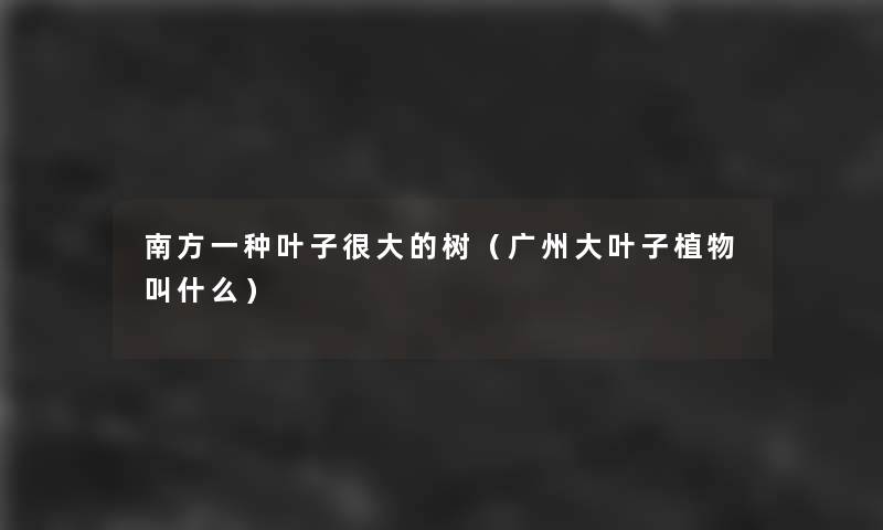 南方一种叶子很大的树（广州大叶子植物叫什么）