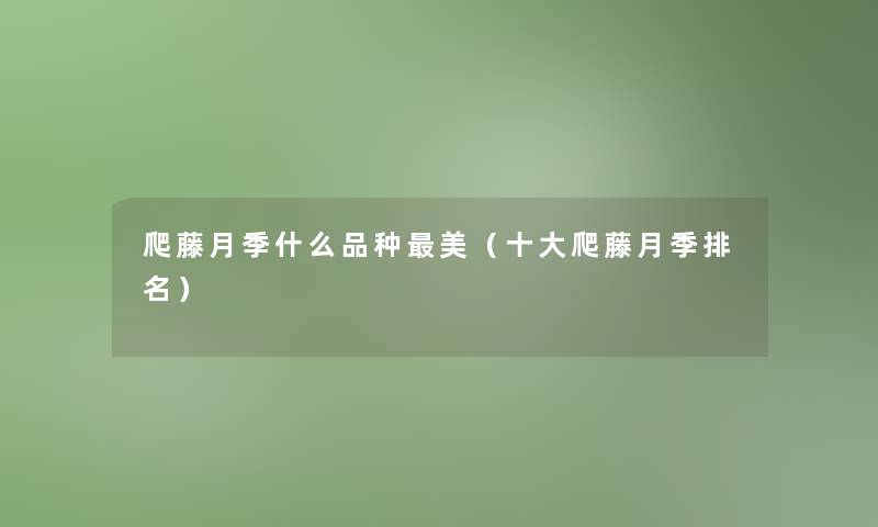 爬藤月季什么品种美(一些爬藤月季推荐) 爬藤月季什么品种美(一些爬藤月季推荐)