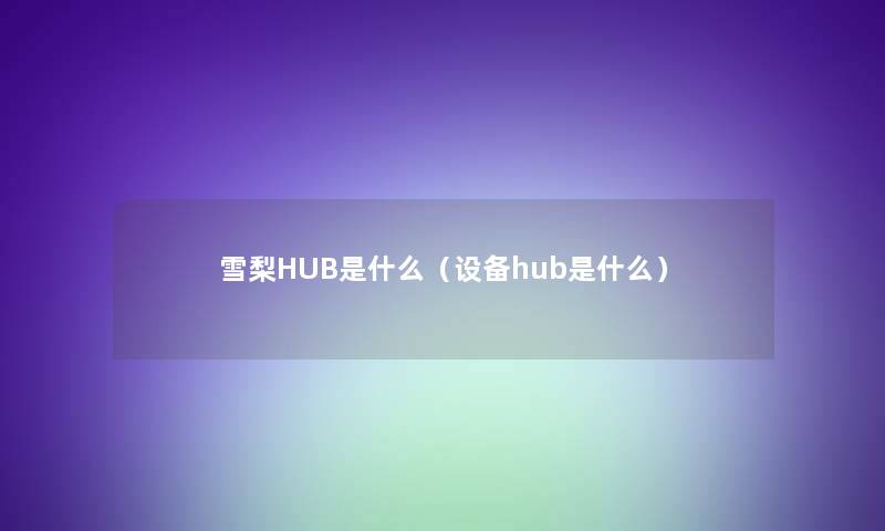 雪梨HUB是什么(设备hub是什么) 雪梨HUB是什么(设备hub是什么)