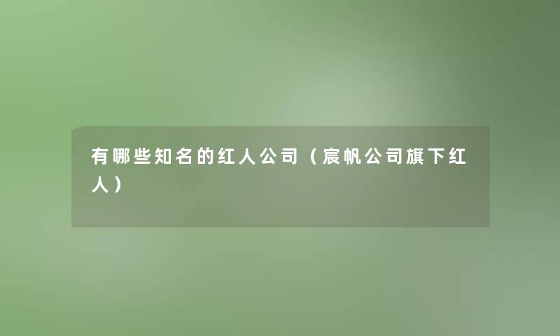 有哪些知名的红人公司（宸帆公司旗下红人）