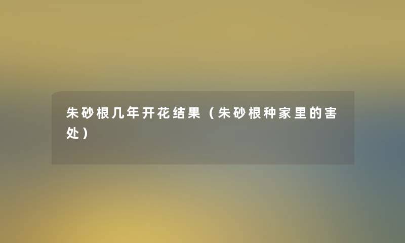 朱砂根几年开花结果(朱砂根种家里的害处) 朱砂根几年开花结果(朱砂根种家里的害处)
