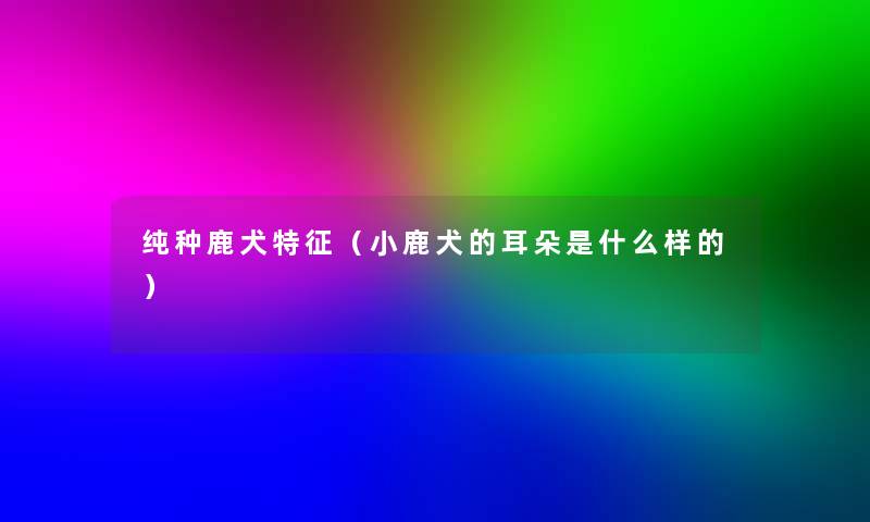 纯种鹿犬特征(小鹿犬的耳朵是什么样的) 纯种鹿犬特征(小鹿犬的耳朵是什么样的)