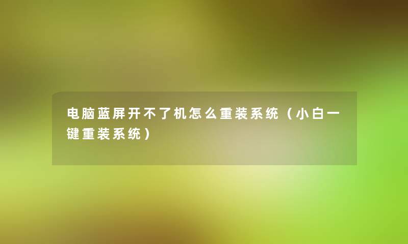 电脑蓝屏开不了机怎么重装系统(小白一键重装系统) 电脑蓝屏开不了机怎么重装系统(小白一键重装系统)