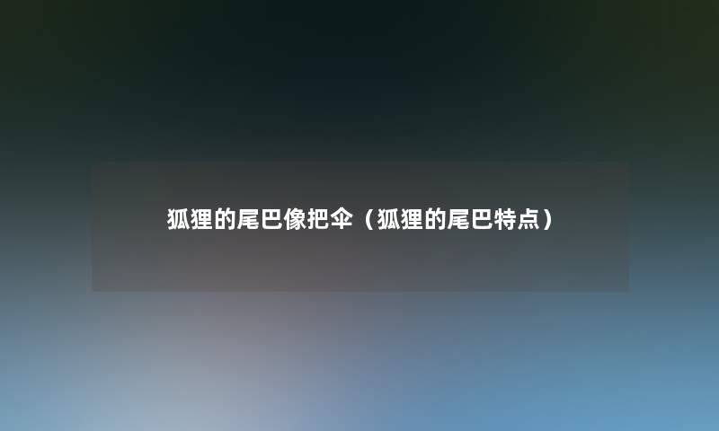 狐狸的尾巴像把伞(狐狸的尾巴特点) 狐狸的尾巴像把伞(狐狸的尾巴特点)