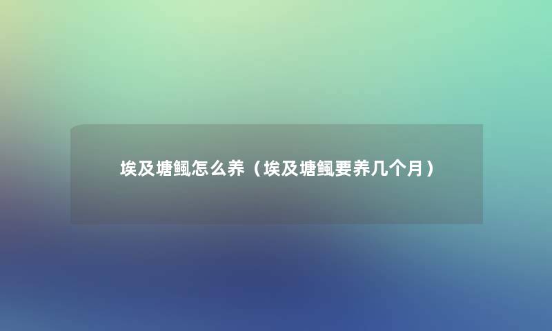 埃及塘鲺怎么养(埃及塘鲺要养几个月) 埃及塘鲺怎么养(埃及塘鲺要养几个月)