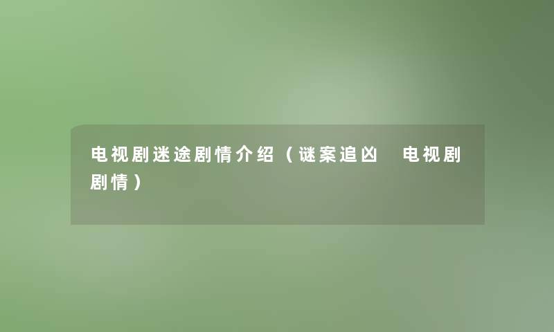 电视剧迷途剧情介绍(谜案追凶 电视剧剧情) 电视剧迷途剧情介绍(谜案追凶 电视剧剧情)