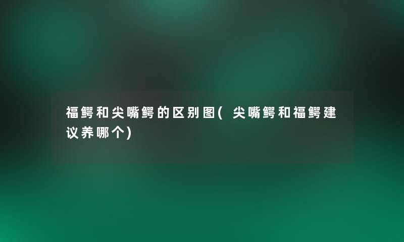 福鳄和尖嘴鳄的区别图(尖嘴鳄和福鳄建议养哪个) 福鳄和尖嘴鳄的区别图(尖嘴鳄和福鳄建议养哪个)