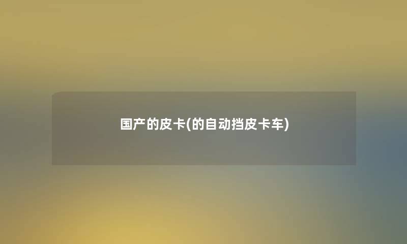国产的皮卡(的自动挡皮卡车) 国产的皮卡(的自动挡皮卡车)