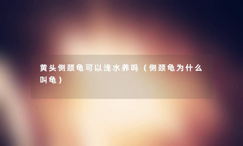 黄头侧颈龟可以浅水养吗(侧颈龟为什么叫龟) 黄头侧颈龟可以浅水养吗(侧颈龟为什么叫龟)