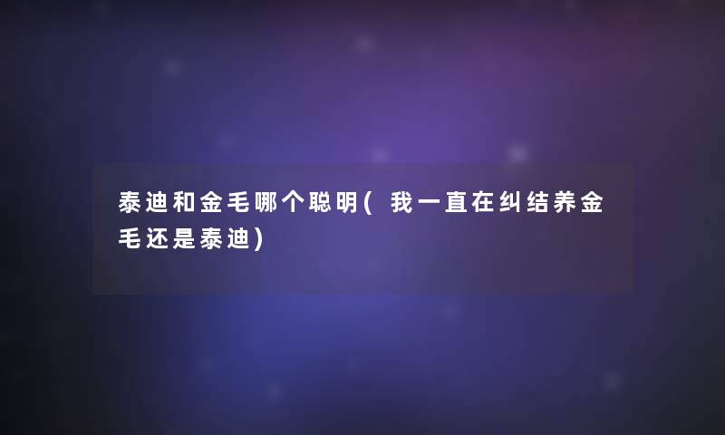 泰迪和金毛哪个聪明(我一直在纠结养金毛还是泰迪) 泰迪和金毛哪个聪明(我一直在纠结养金毛还是泰迪)