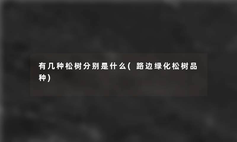 有几种松树分别是什么(路边绿化松树品种) 有几种松树分别是什么(路边绿化松树品种)