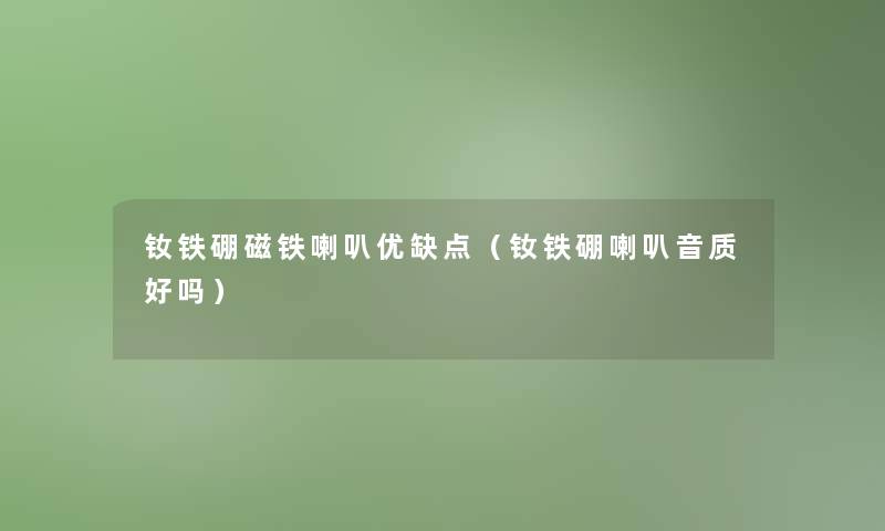 钕铁硼磁铁喇叭优缺点(钕铁硼喇叭音质好吗) 钕铁硼磁铁喇叭优缺点(钕铁硼喇叭音质好吗)
